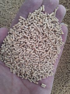 غذای بچه ماهی کپور