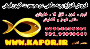 https://kapor.ir/